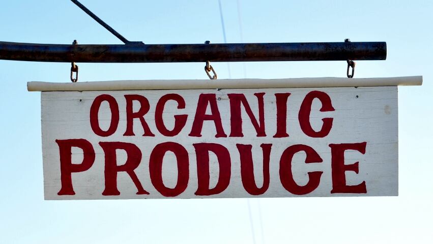 Organic.jpg