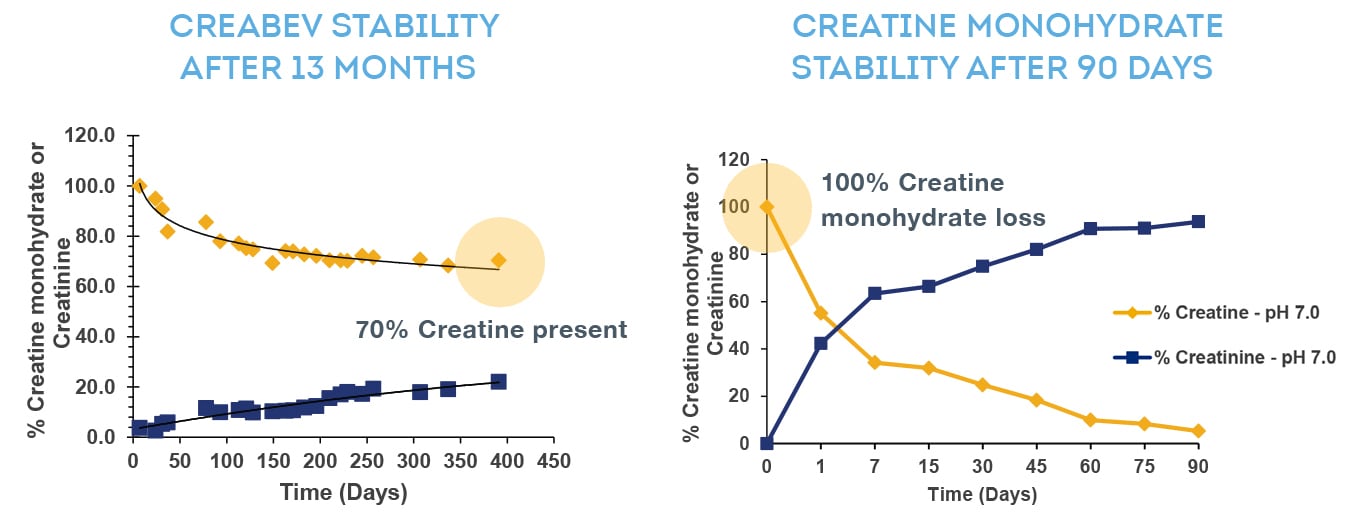 CreaBev_CreatineMono_Stability-chart.jpg