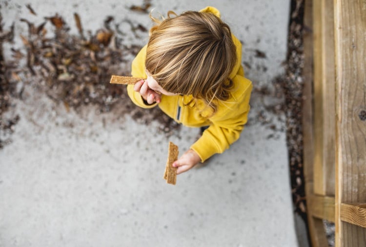 Study finds ‘healthy’ kids snacks could be contributing to growing obesity crisis