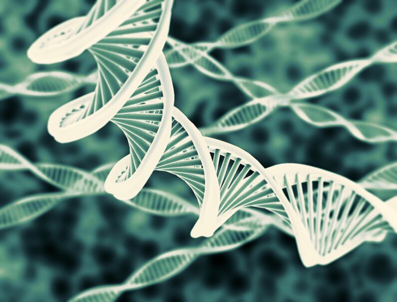 DNA-strands-genetics.jpg