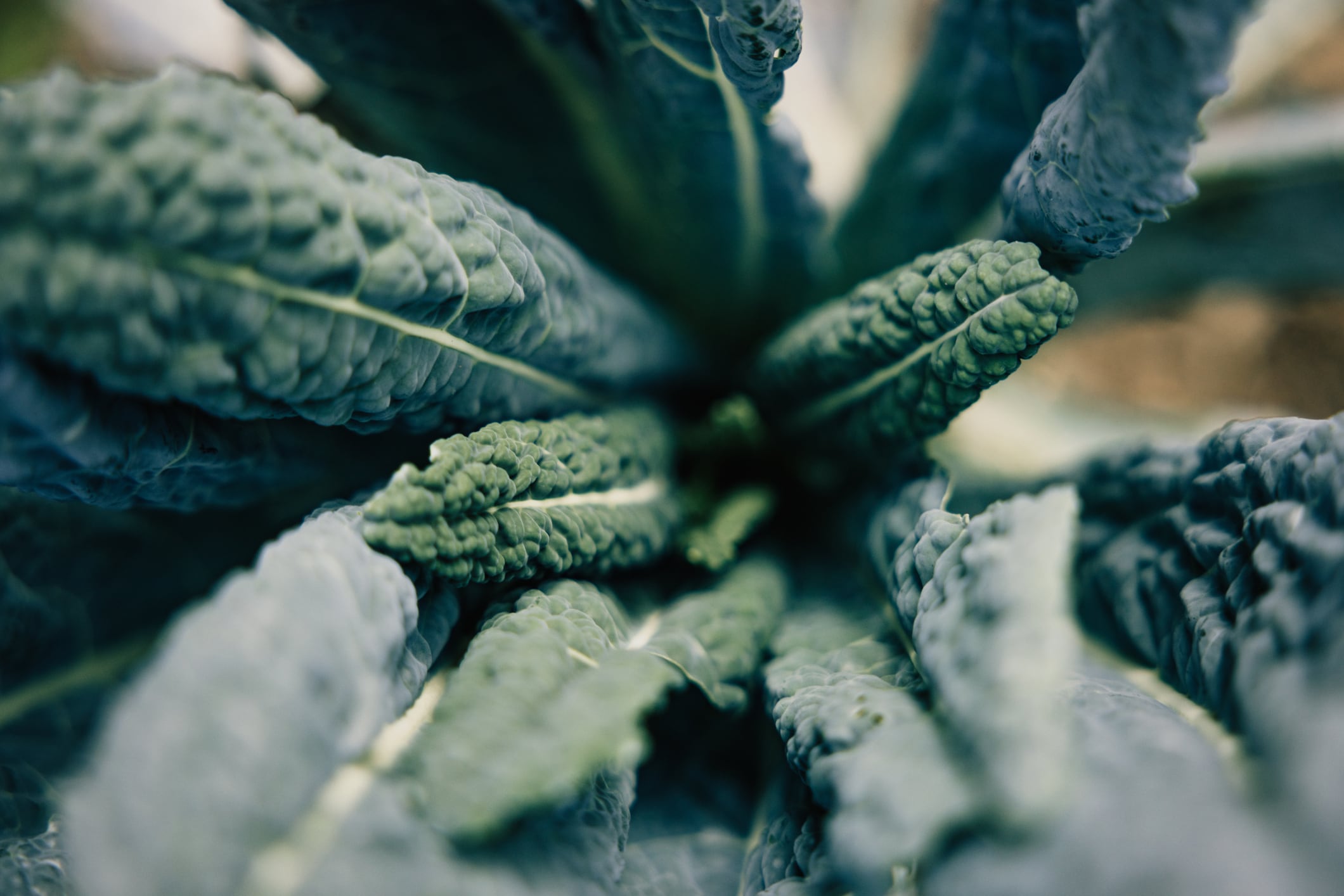 “There can be a pretty big gap between what theoretically should happen and what actually happens when you test it," said Paul Eftang, CEO of Nootropics Depot.