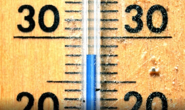 Heat-optimised-gut-flora-may-prevent-bone-density-loss.jpg
