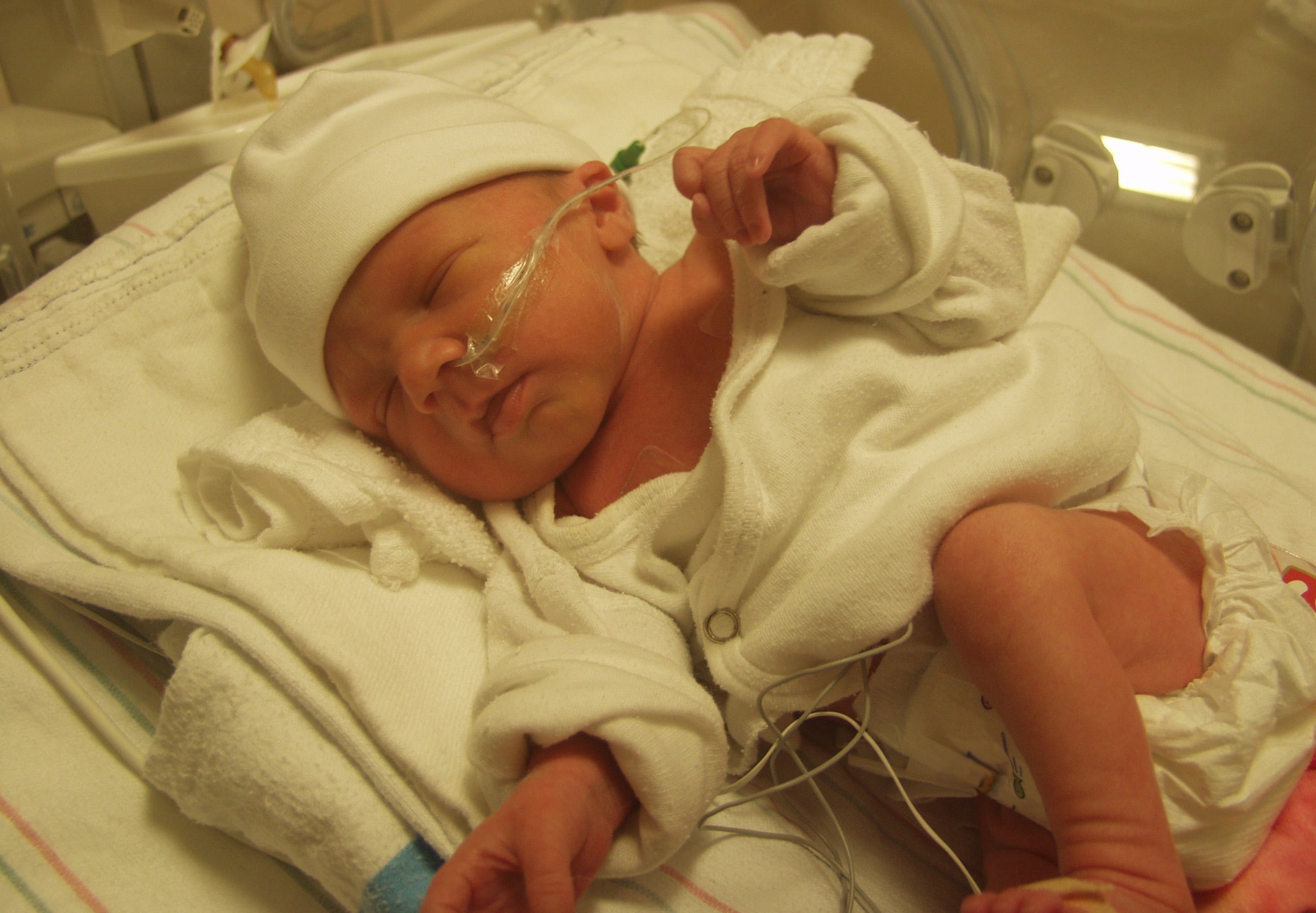 Probiotics stabilized preemies’ guts, tamped down problem species, study shows
