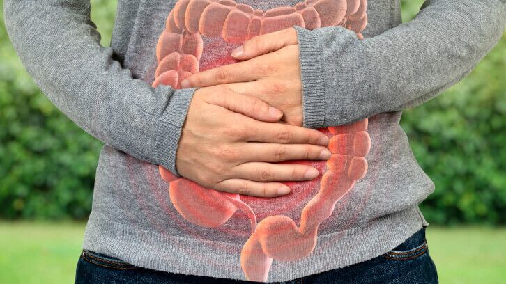 People can adapt to high prebiotic intake within weeks, says new study