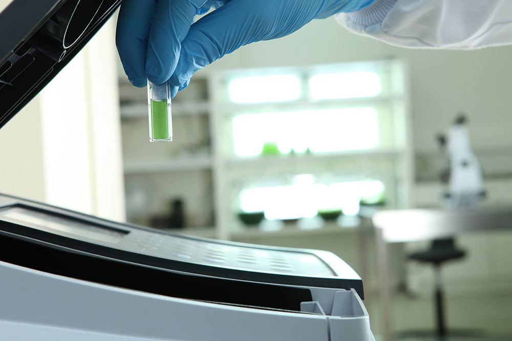 production-spiruline03.jpg