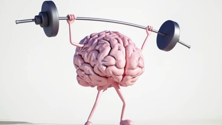 Heads-up-Review-supports-creatine-supplementation-for-brain-health.jpg