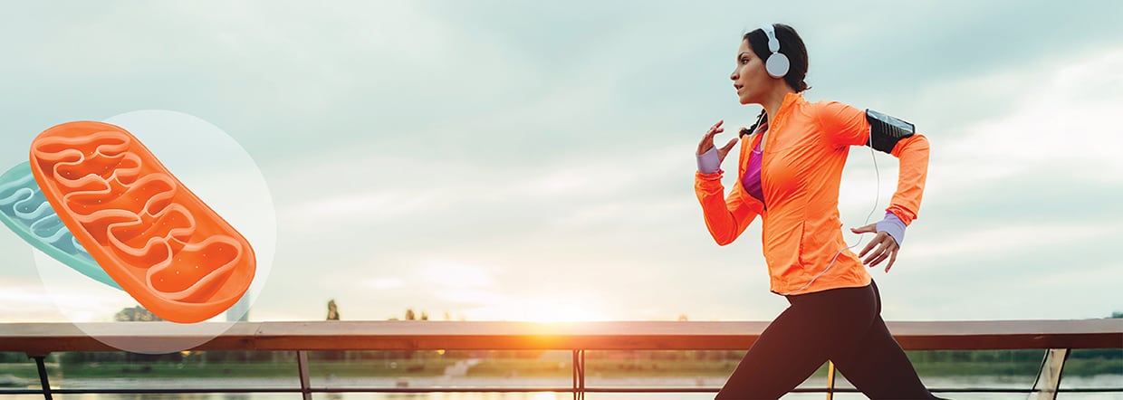 Mitochondrial health