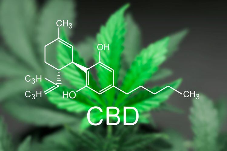 Zola-and-Caliva-beverages-with-hemp-derived-CBD-to-hit-the-market-in-late-summer-early-fall.jpg