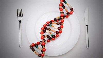 DNA-Plate_400x225.jpg