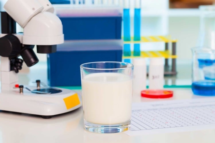Functional food opportunities: TurtleTree explores new realm with cell-based milk technology