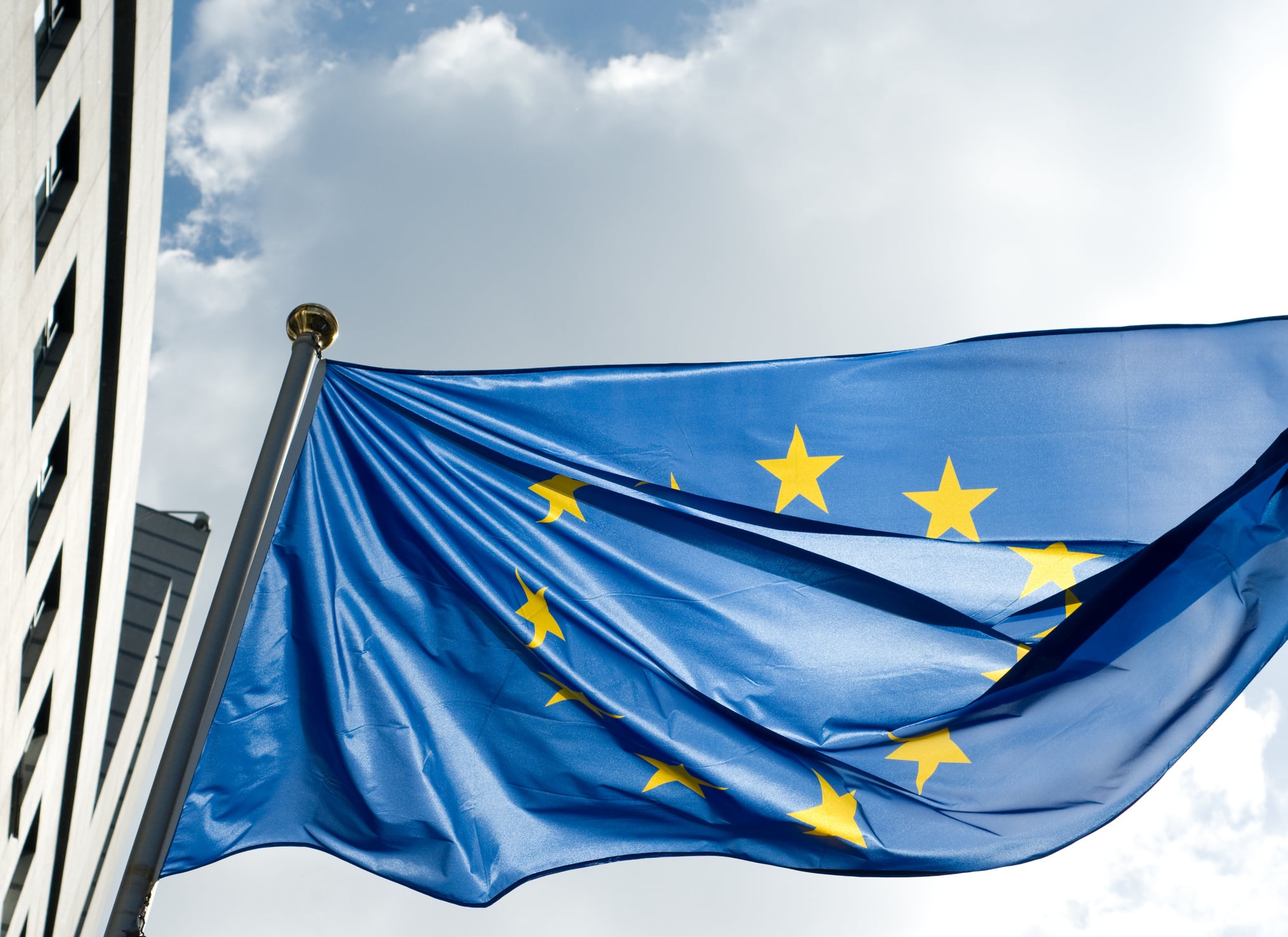Red yeast rice: Time for EU harmonisation?
