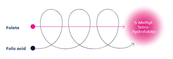 Image-2_.png