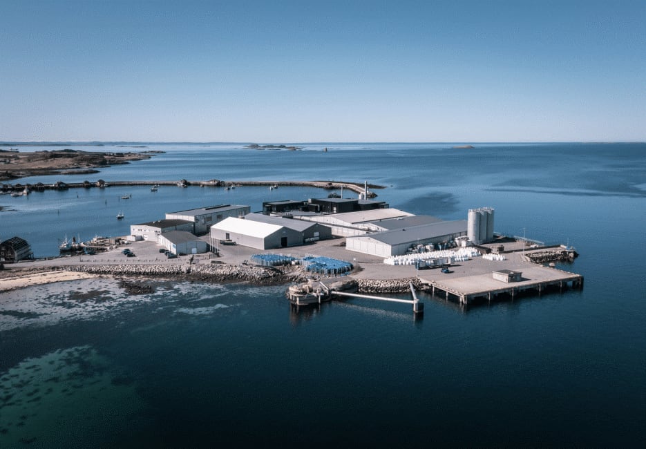 Grøntvedt ramps up production for CETO3 omega-11