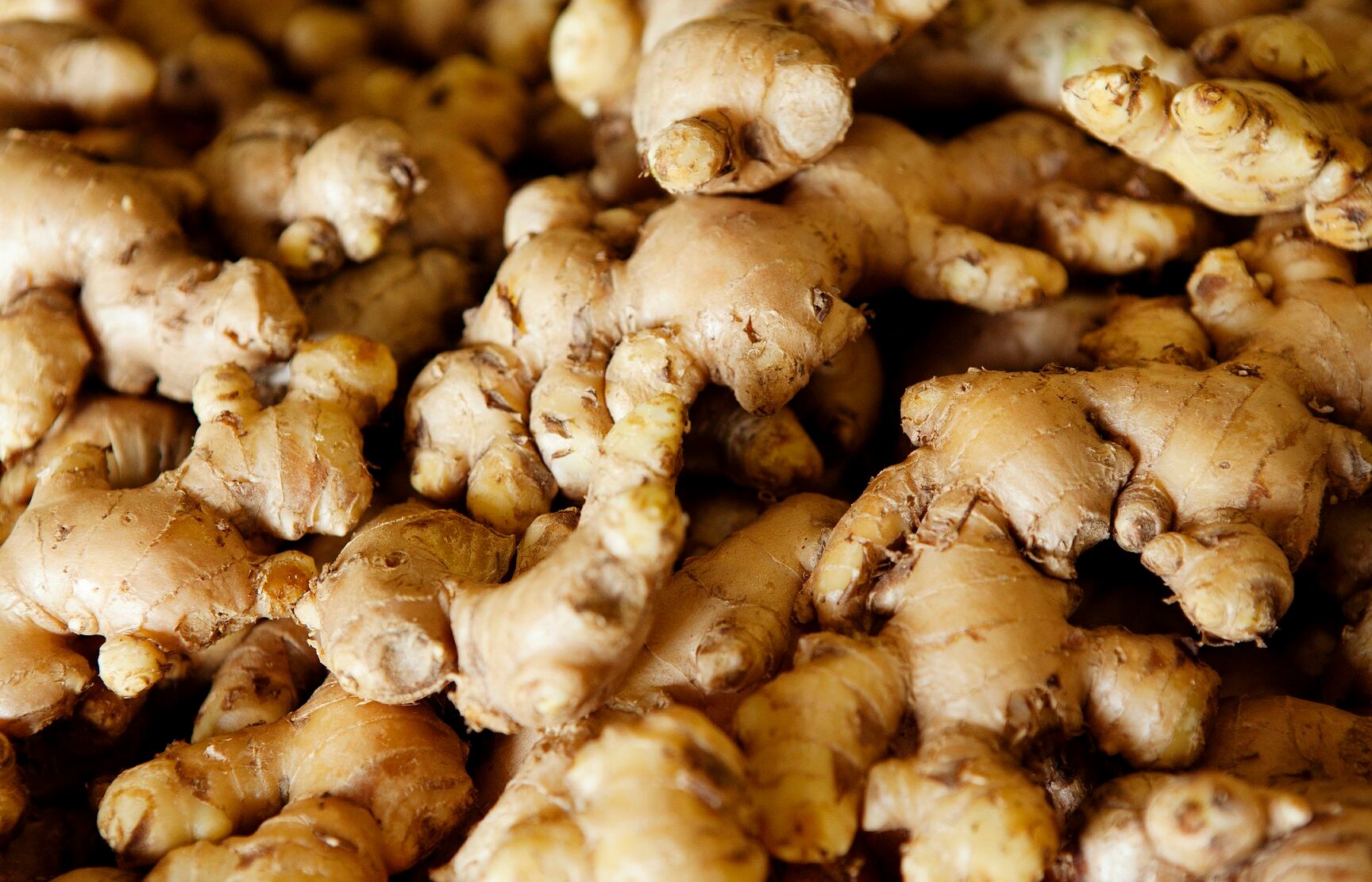 Krill oil-based delivery system improves absorption and benefits of ginger extract