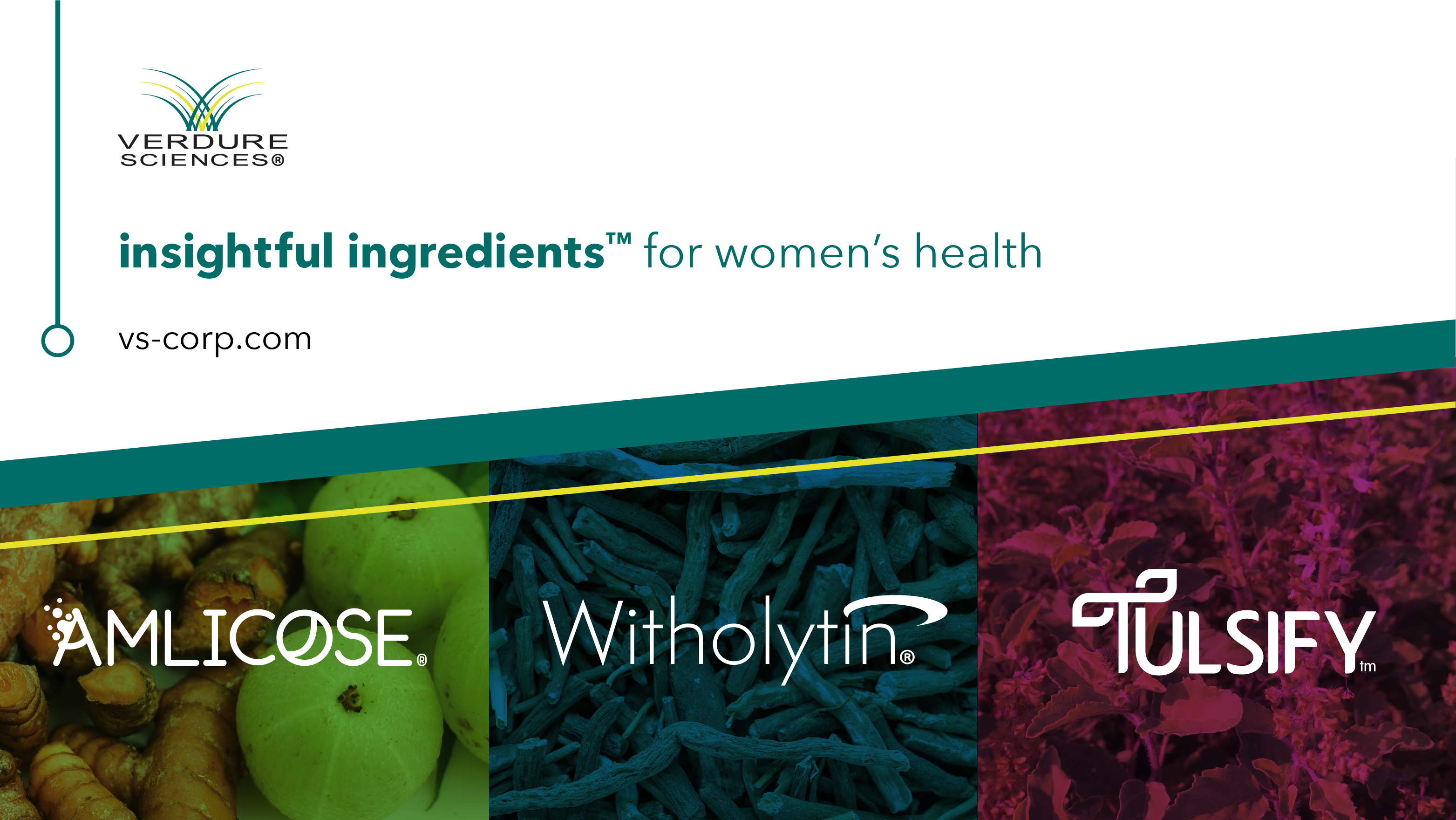 Active-Ingredients-for-Women-s-Health.png