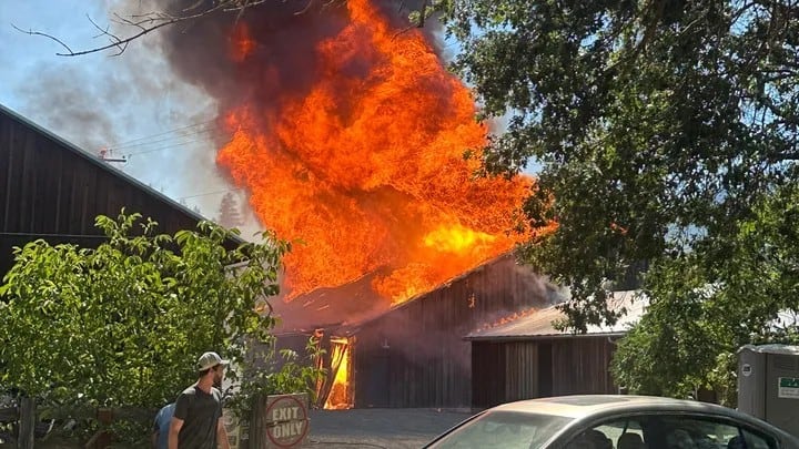 No one was injured in the blaze that destroyed Oshala Farm infrastructure.