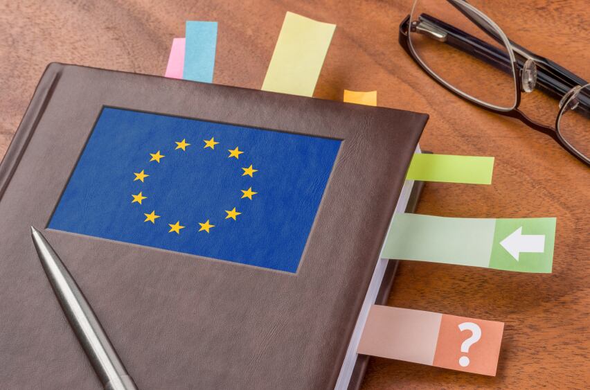 eu-law-case-legal-regulation.jpg
