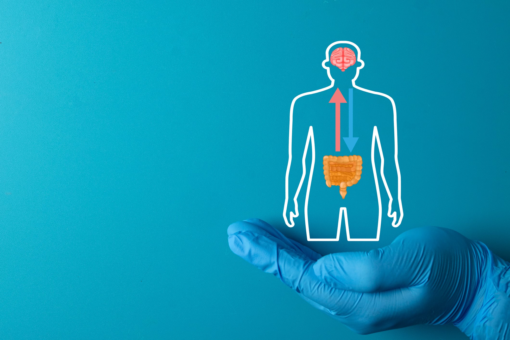 Doctor's hand holding a Gut-Brain Axis icon, symbolizing the link between the digestive system and the brain. Medical research, microbiome, and mental health concept.Blue background, copy space.