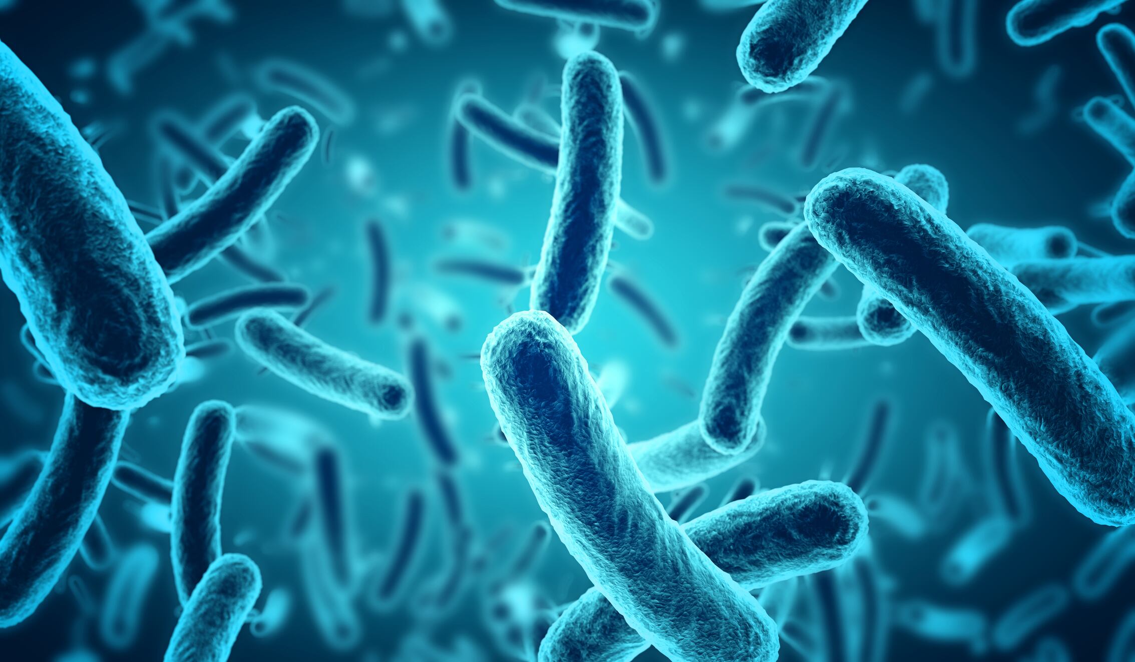 Bifido probiotic may enhance effects of exercise and boost training results: Study