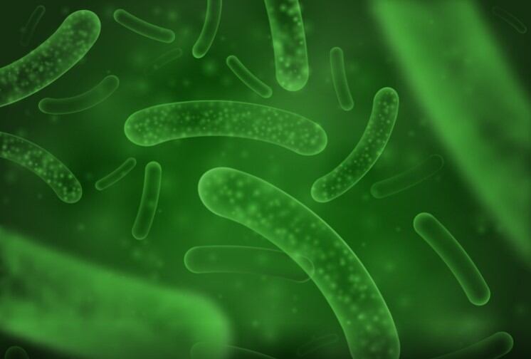 Probiotics may play role in relieving cerebral palsy symptoms, say scientists