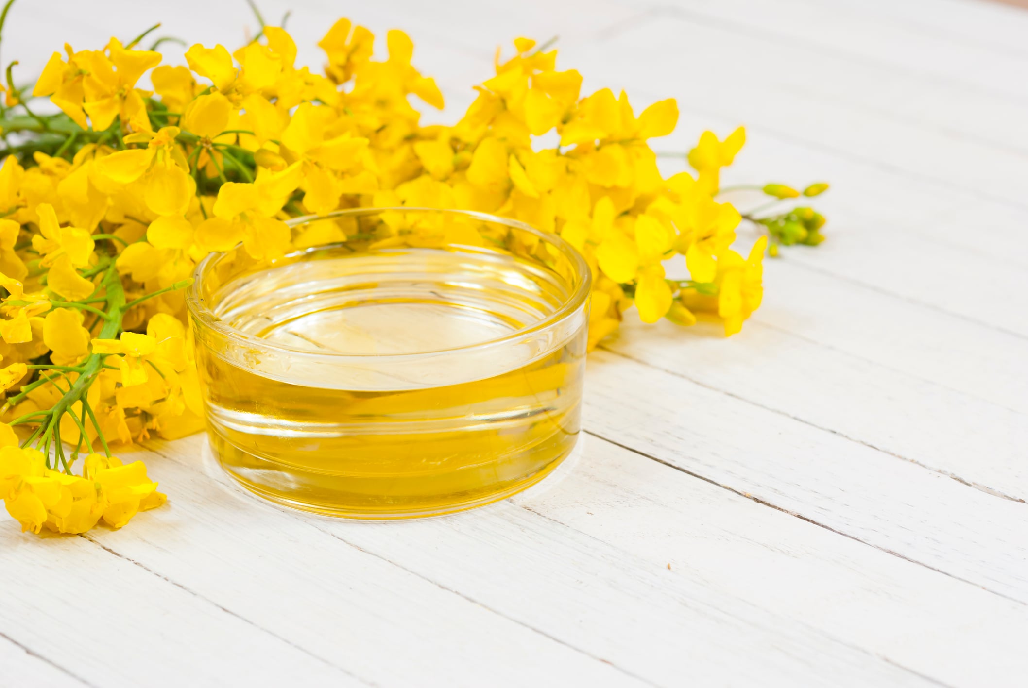 Study supports safety & efficacy of NuSeed’s canola-derived omega-3 oil