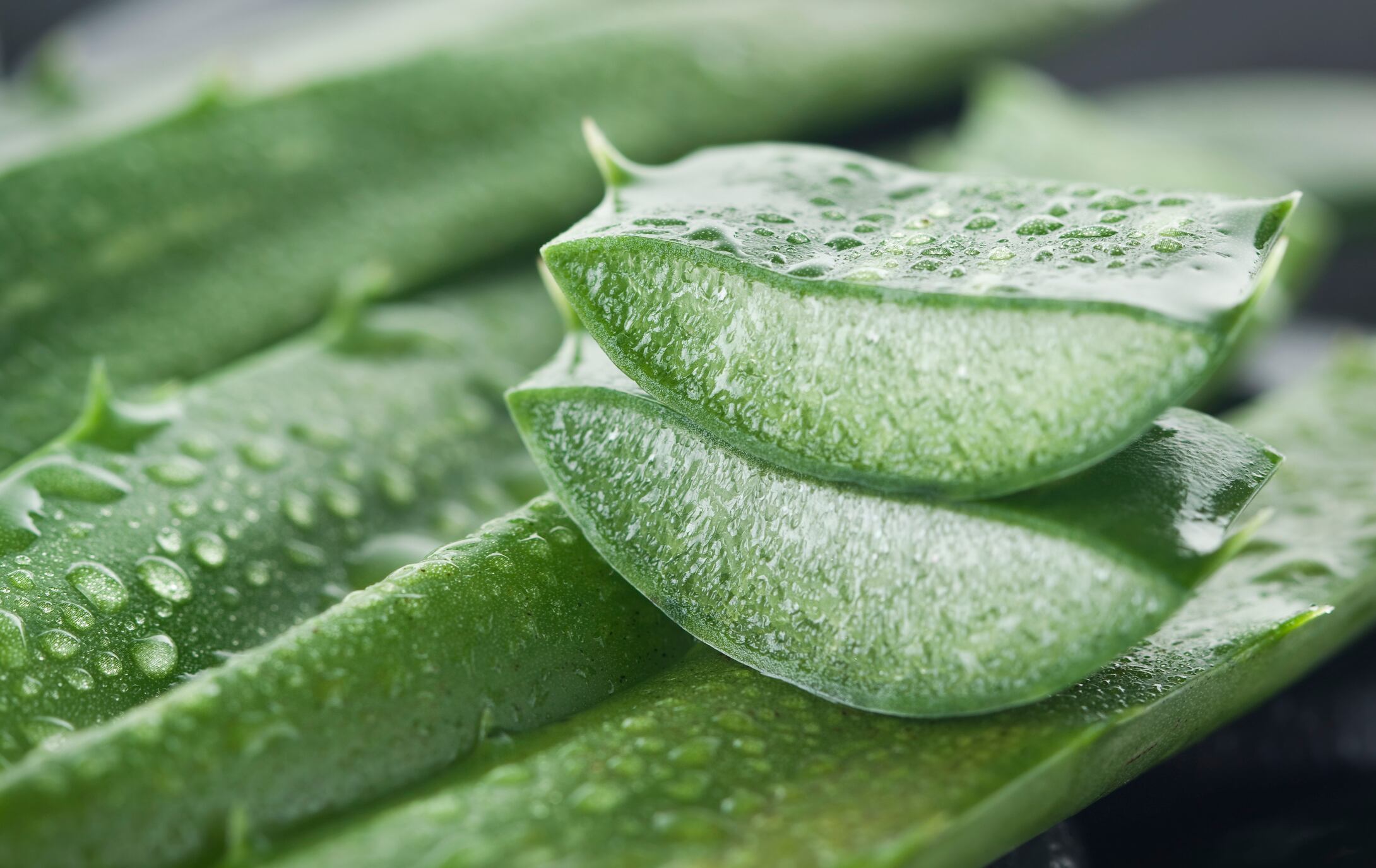 Expert weighs in on EU Court victory for aloe