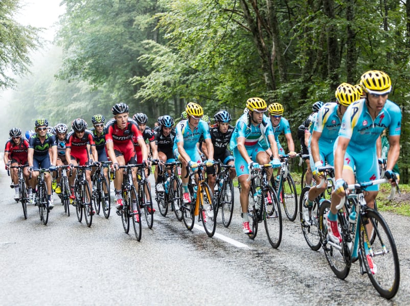 Sports nutrition supplements containing betaine could push intake over safe limit, EFSA warn