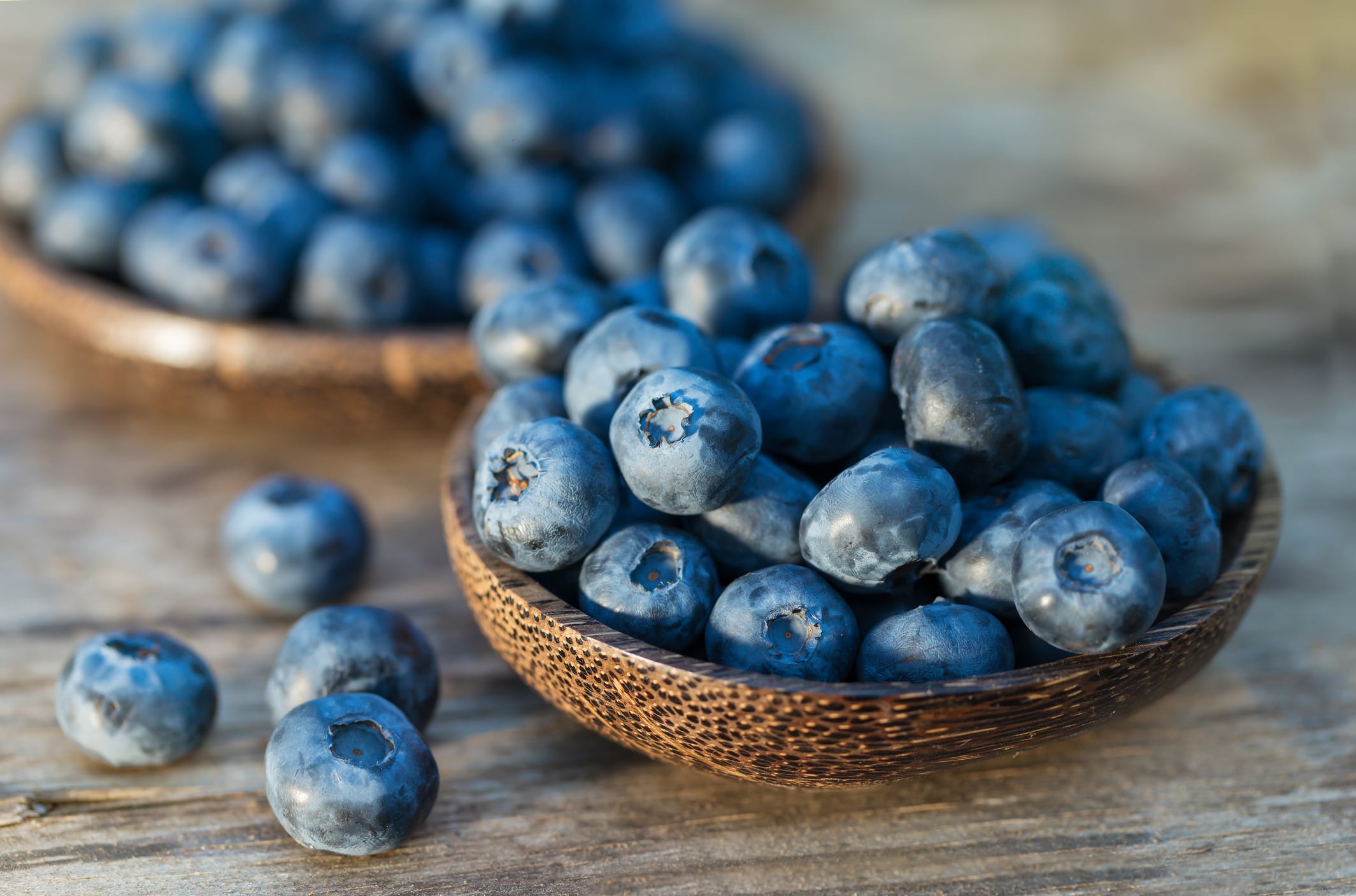 Packing-a-punch-Blueberries-could-be-next-non-dairy-food-where-probiotics-prebiotics-make-their-mark.jpg