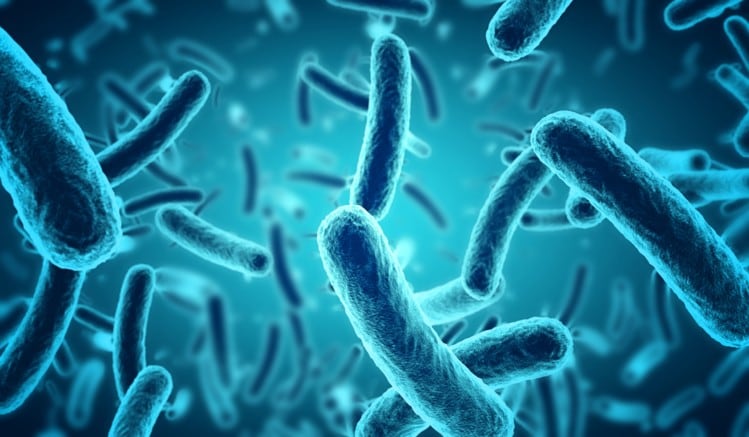 Probiotics can evolve to be harmful? Experts slam reporting of new mouse study...but note opportunity in the science