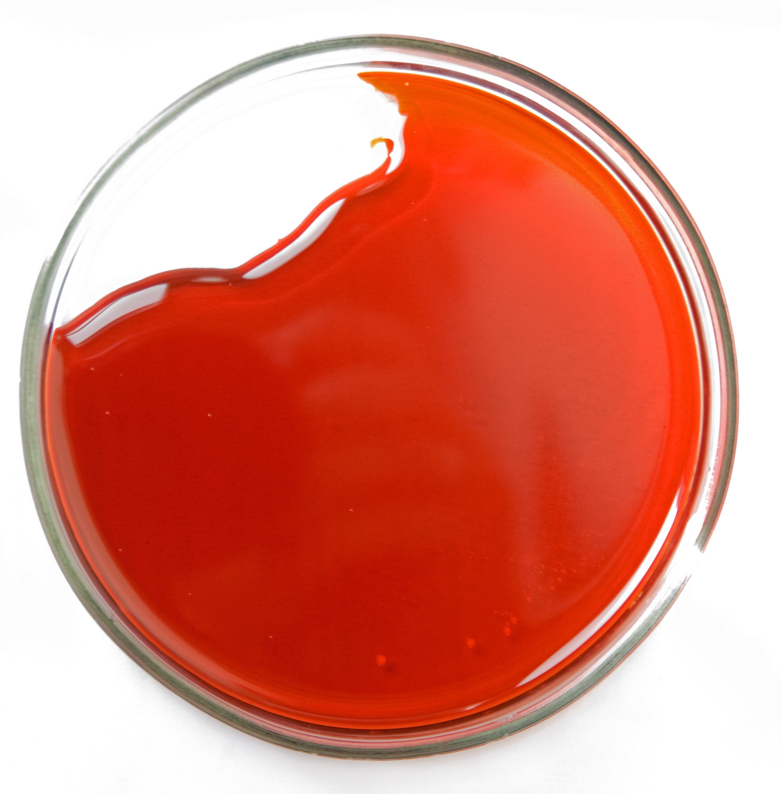 krilloil-petridish.jpg