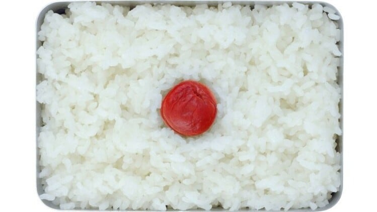 Golden opportunity: White spaces for mineral-fortified functional foods in Japan – government study