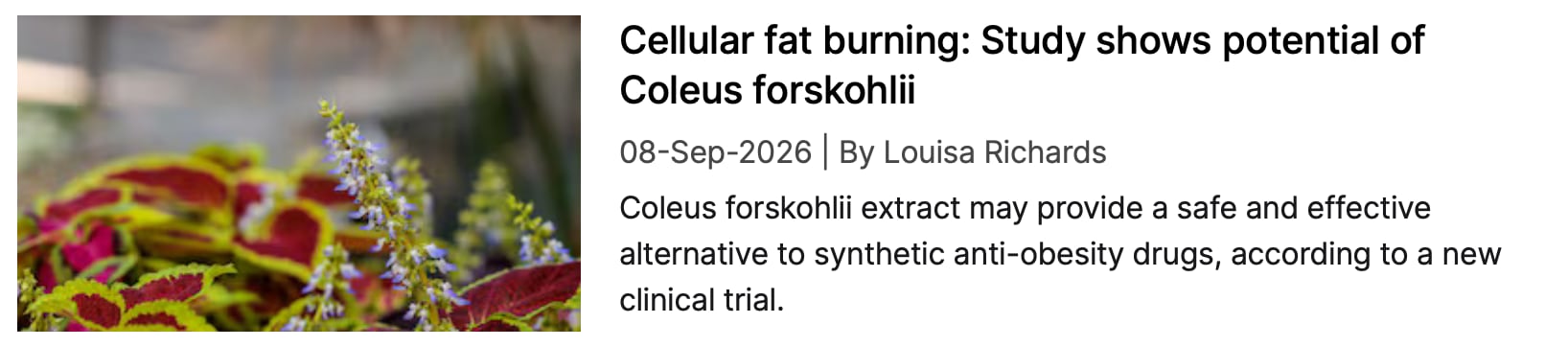 Coleus forskohlii NI coverage