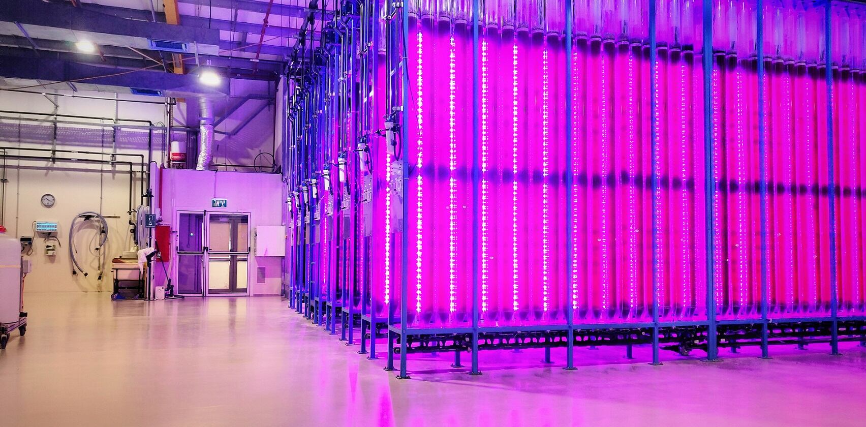 Microalgae start-up rolls out industrial-scale production after ‘influx of demand’