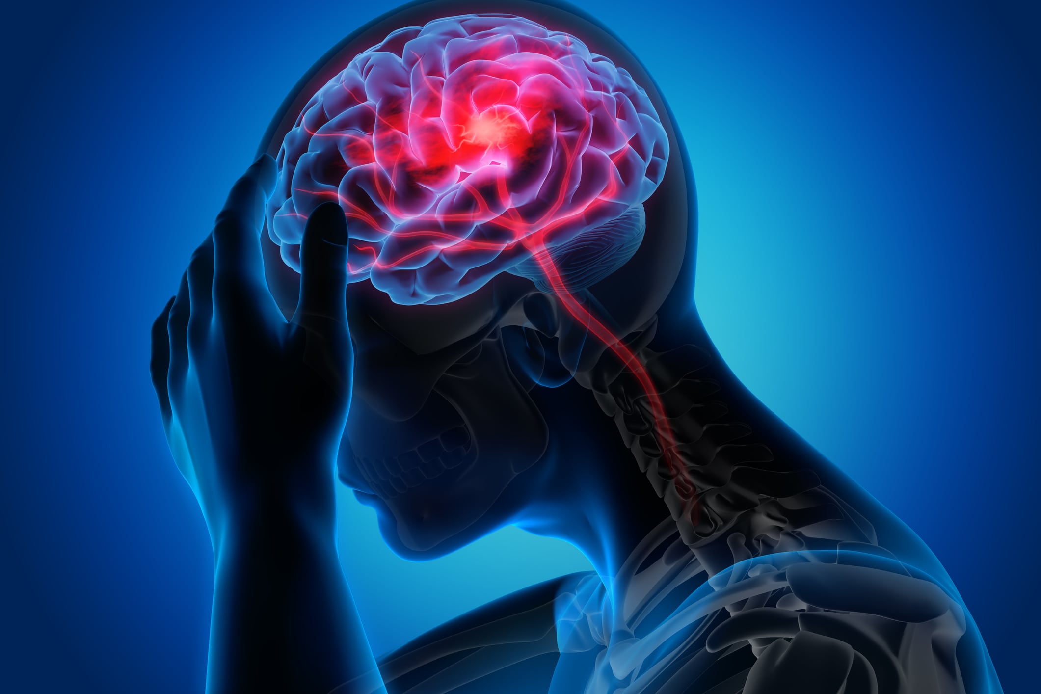 Novozymes-exhibit-psychobiotic-to-target-stress-through-gut-brain-axis.jpg