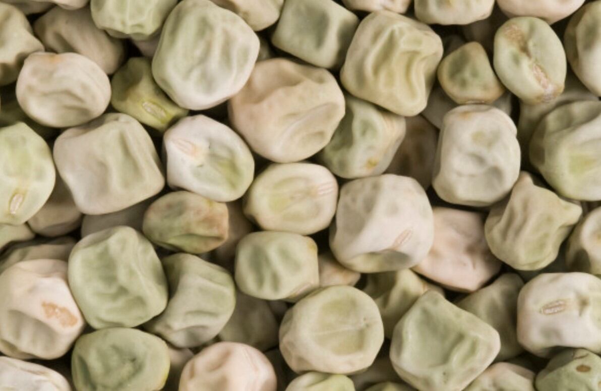 Super-pea-effect-on-gut-may-aid-those-at-risk-of-diabetes.jpg