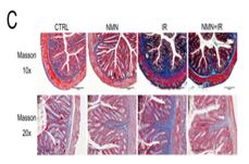 Picture1-C-Zhao-et-al.png