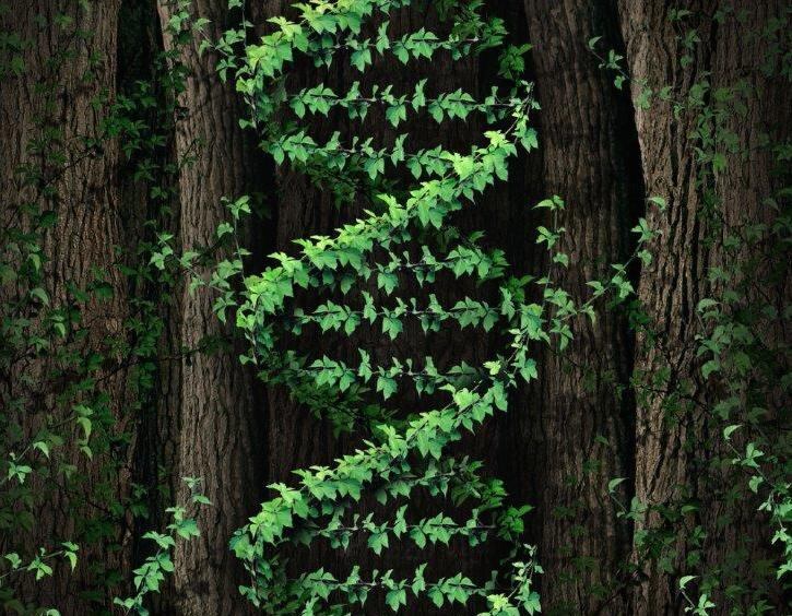 USP meeting tries to get handle on rapidly evolving DNA techniques