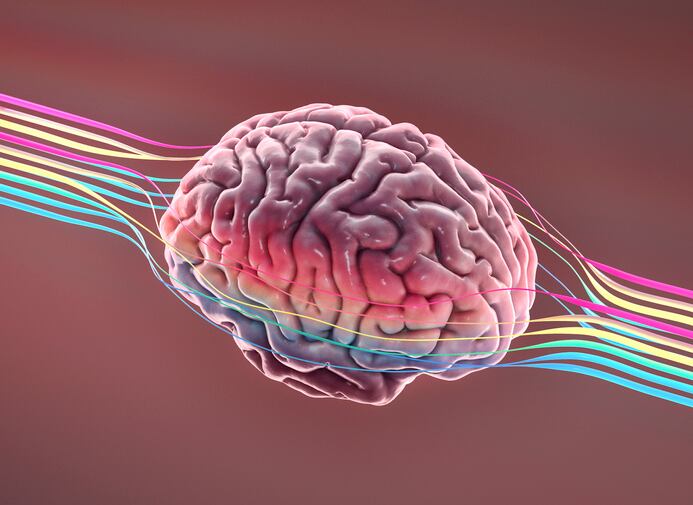 Review-lays-out-evidence-for-nutritional-approaches-to-support-neurotransmitter-production.jpg