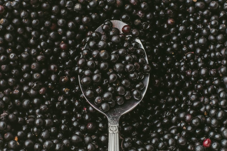 Elderberry-sales-grow-as-demand-increases-for-superfruits-and-functional-ingredients.jpg