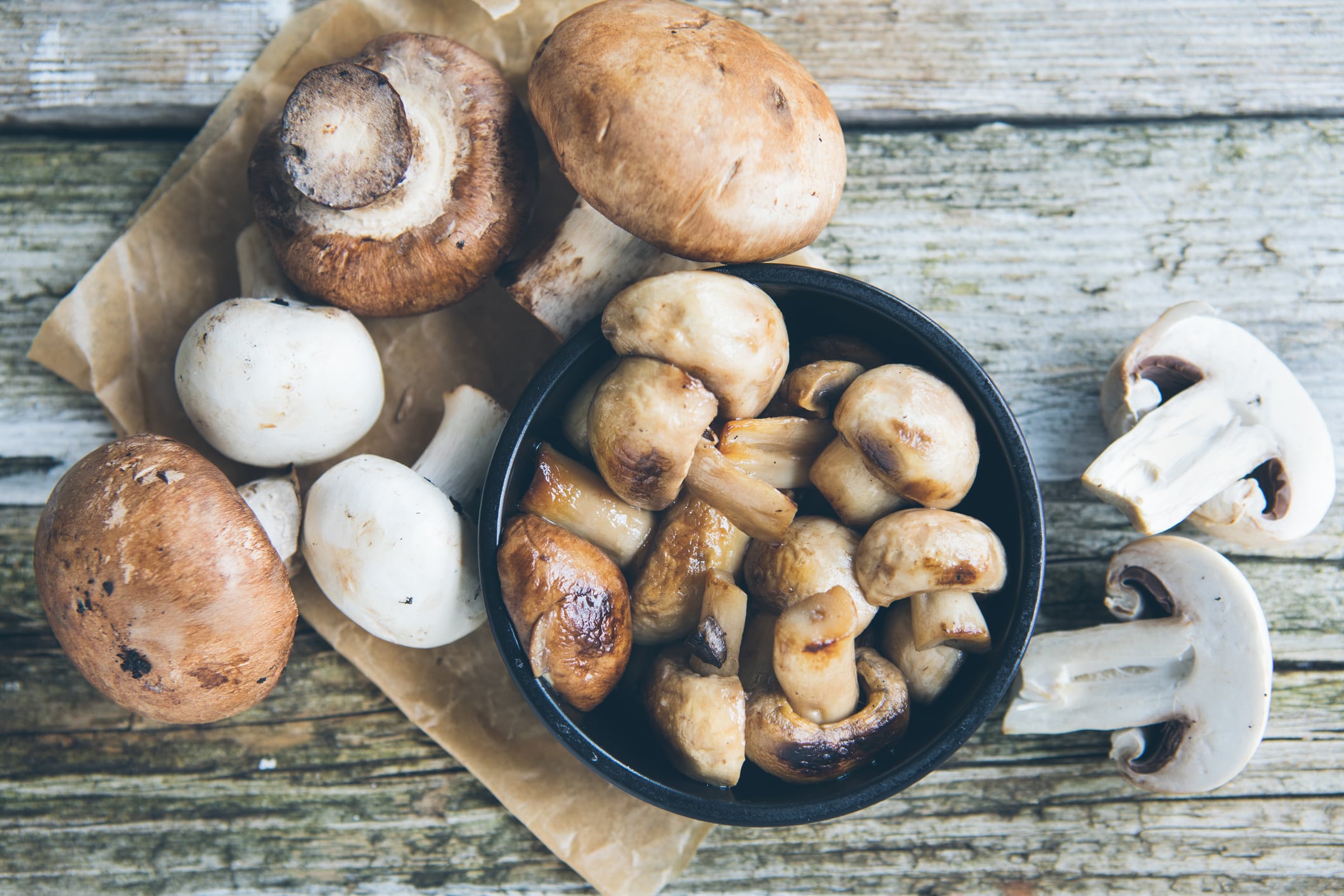 Mushroom extract blend creates immune cell boost, say scientists