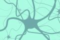 A single multifunctional ingredient disrupting chronic pain management and taking the lead on CBD