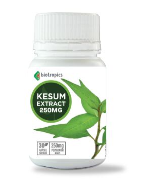 Biotropics-Kesum-extract-250mg.png