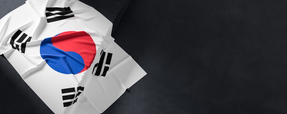A picture showing the flag of South Korea.
