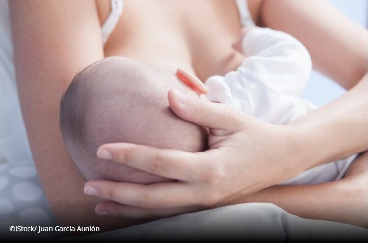 Mechanism outlines breastfeeding role in development of baby immunity