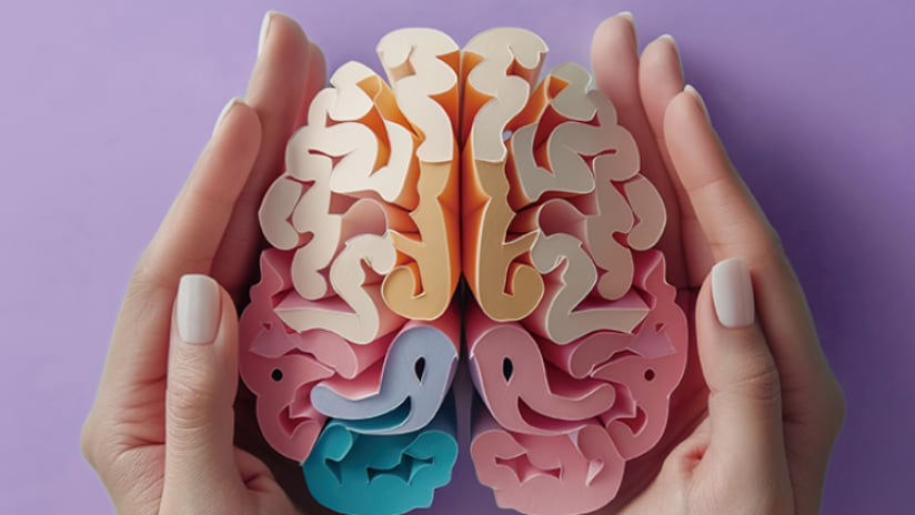 MCC1274: A Unique Strain for Cognitive Health