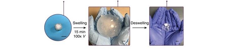 Ingestible-hydrogel-chart.jpg