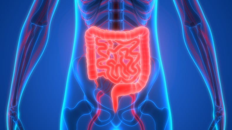 Study-finds-pro-and-synbiotics-improve-health-parameters-in-the-overweight.jpg