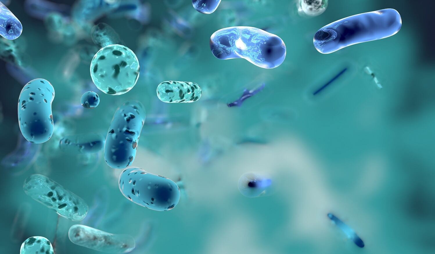 Probiotic-combination-may-positively-affect-outcomes-in-COVID-19-outpatients.jpg
