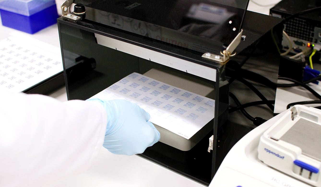 Colour me bad: Researchers in Australia develop colourimetric sensors for packaging to reduce food waste