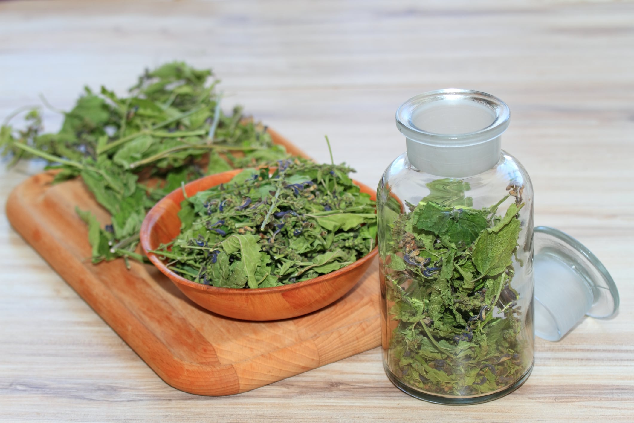 Dried Scutellaria lateriflora, also known as skullcap